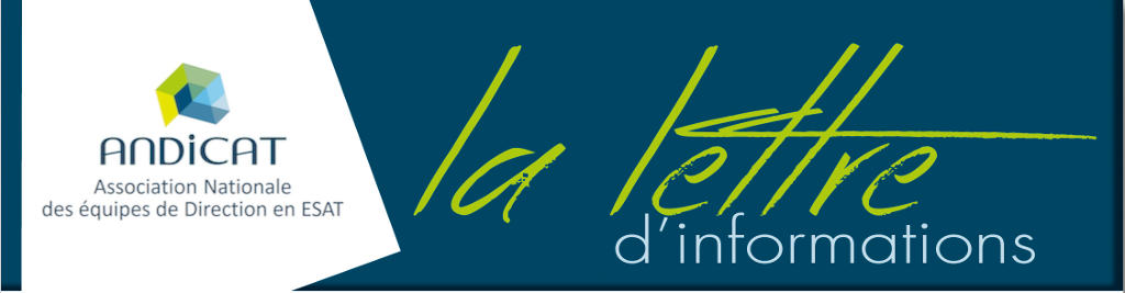 Cliquez sur le bouton "afficher les images" pour voir votre newsletter